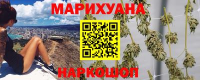 спиды Кингисепп