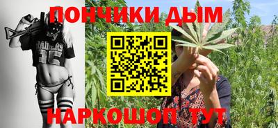 спиды Кингисепп