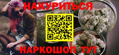 спиды Кингисепп