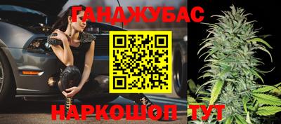 спиды Кингисепп