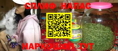спиды Кингисепп