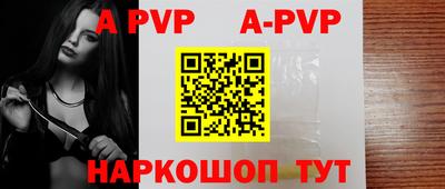 спиды Кингисепп