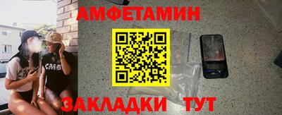 спиды Кингисепп