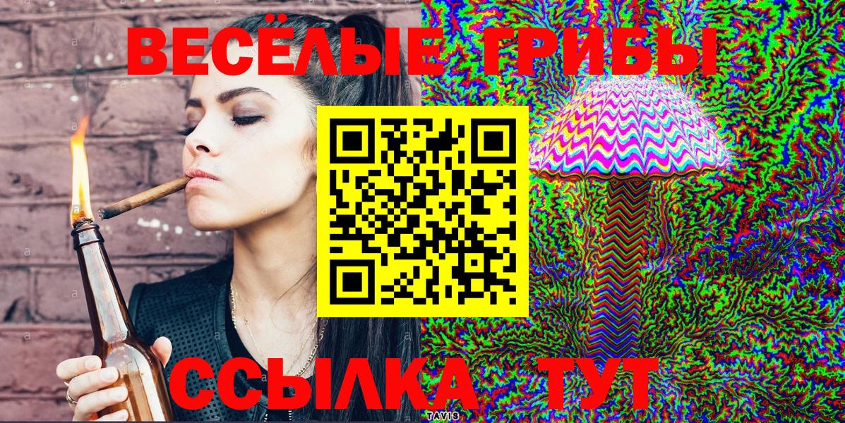 Псилоцибиновые грибы Psilocybine cubensis  Вход с VPN  Евпатория 